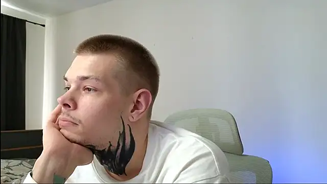 DENIS_HERE webcam
