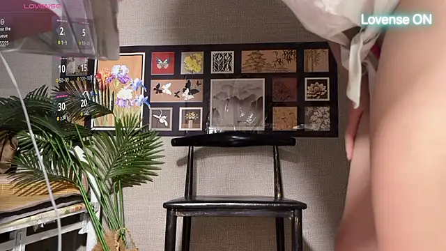 xiaosu22