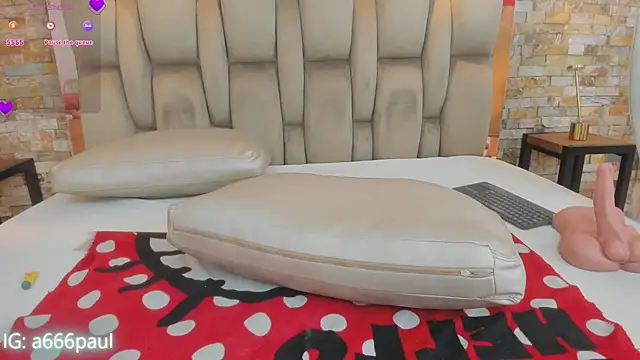 aria_paul webcam