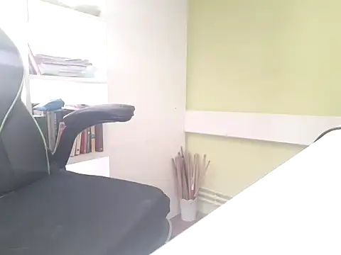 feathersify webcam