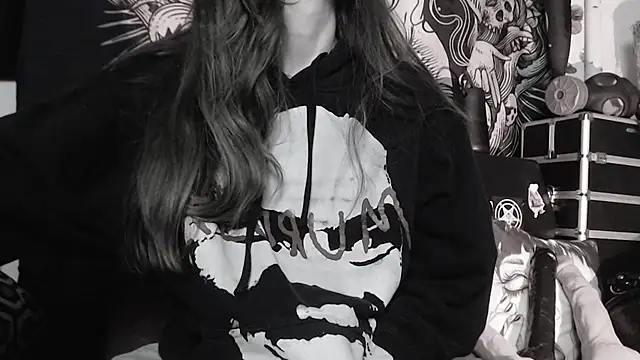 Silentmary webcam