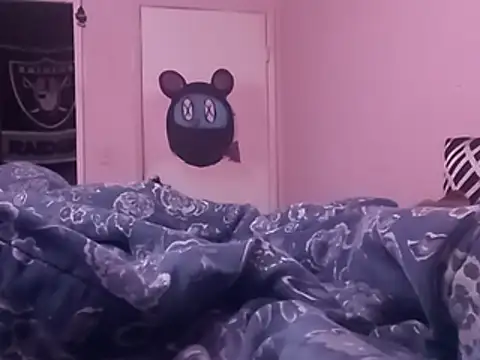 Blkstylion webcam