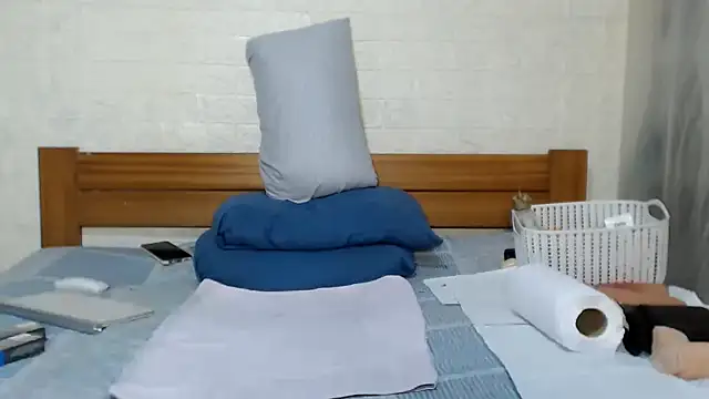 awild_kitten webcam