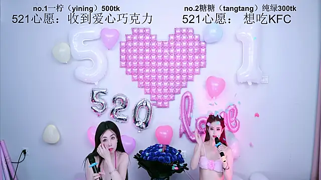 CCTW-100 webcam