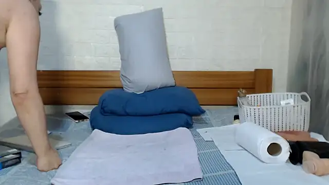 awild_kitten webcam