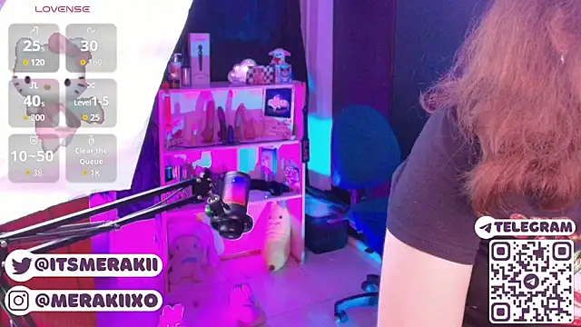 meraki_fraise webcam