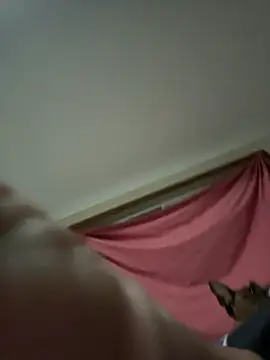 ausbod webcam