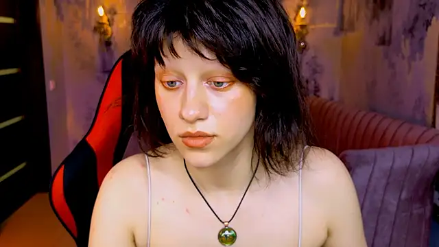 LidaDarknet webcam