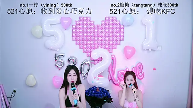 CCTW-100 webcam