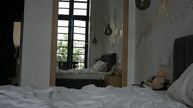 ibiddi webcam