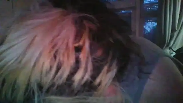 ajsin7 webcam