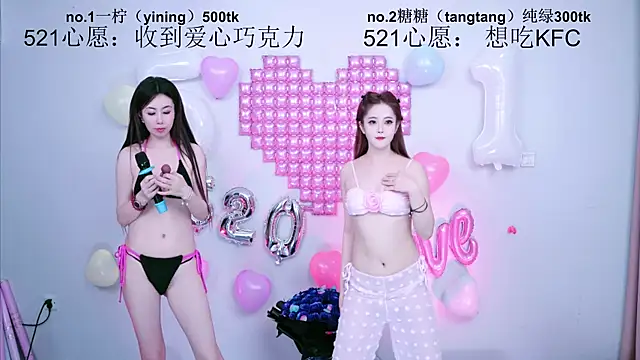 CCTW-100 webcam