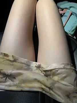 littleqiu webcam