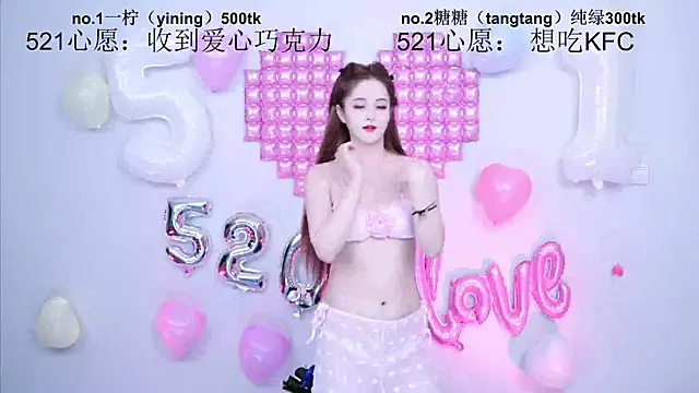 CCTW-100 webcam