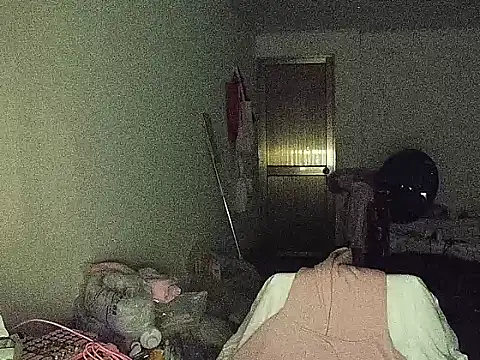 RebelAura webcam