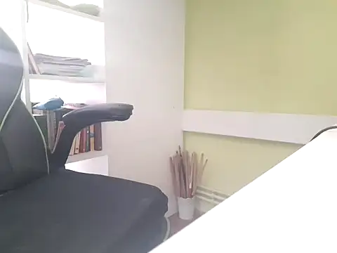 feathersify webcam