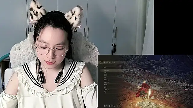 Erya-369 webcam