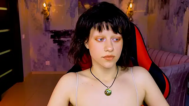 LidaDarknet webcam