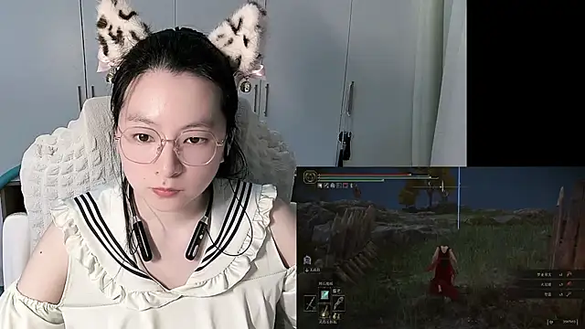 Erya-369 webcam