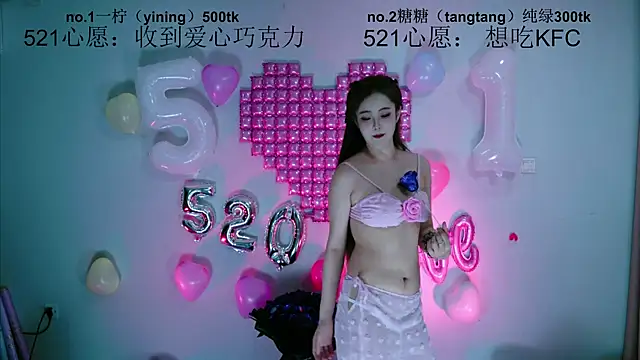 CCTW-100 webcam