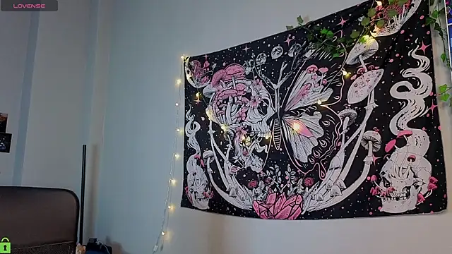LittleKittenStar webcam