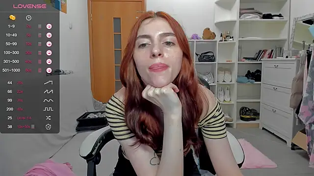broosnica1 webcam