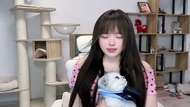 SakuraCat6 webcam