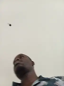 WaiterZim webcam