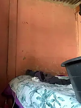 taitaimont webcam