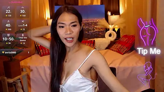 MsEpitome webcam