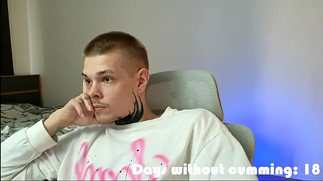 DENIS_HERE webcam