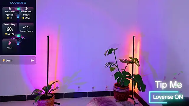 Sarasavage webcam
