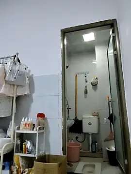 CCAV217 webcam