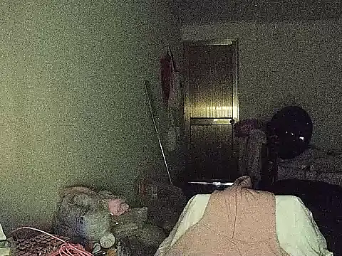 RebelAura webcam