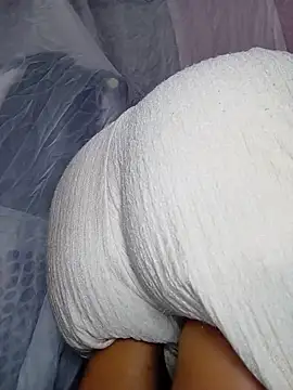 Arah-t webcam
