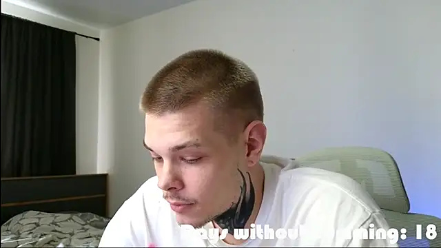 DENIS_HERE webcam