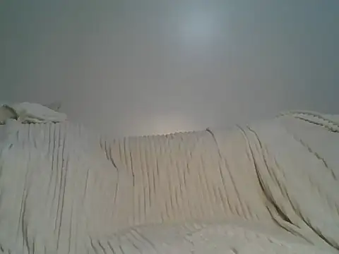 portia501 webcam