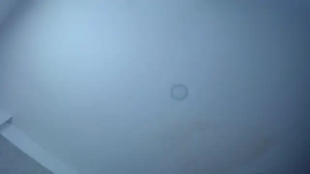 kathe-mills235 webcam