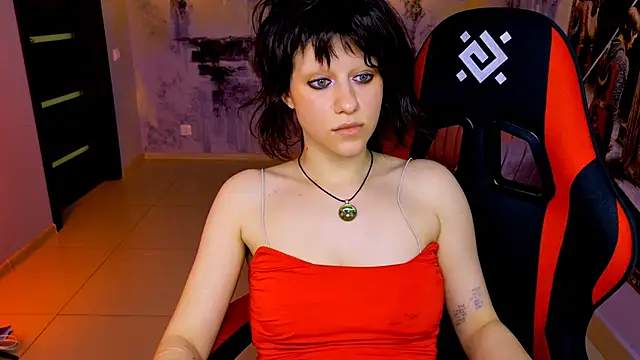 LidaDarknet webcam