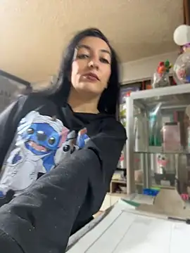 SALOME_KORLAND webcam