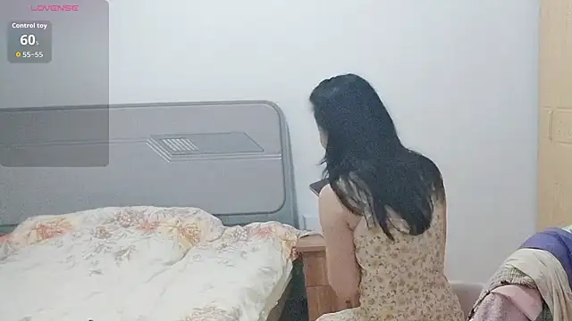 fanfan-FF webcam