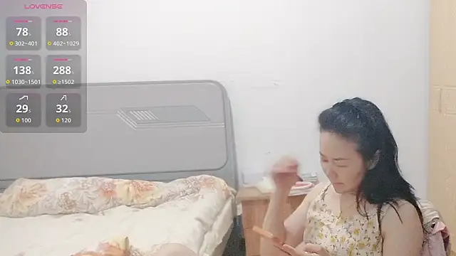 fanfan-FF webcam