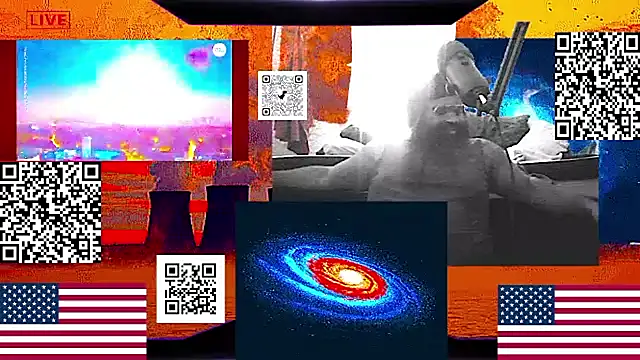 RussellTaylorLacy webcam