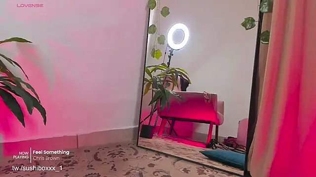 sushiboxxx webcam