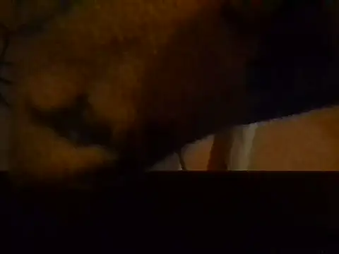 sherry_anne webcam