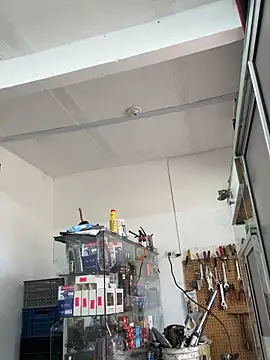 Paul22cm- webcam