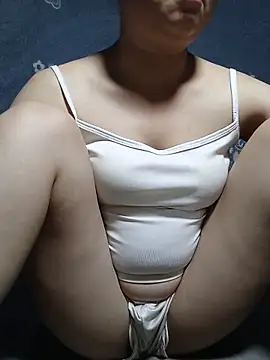 Punmina webcam