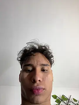 NelModel1 webcam