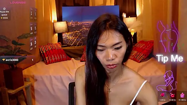 MsEpitome webcam