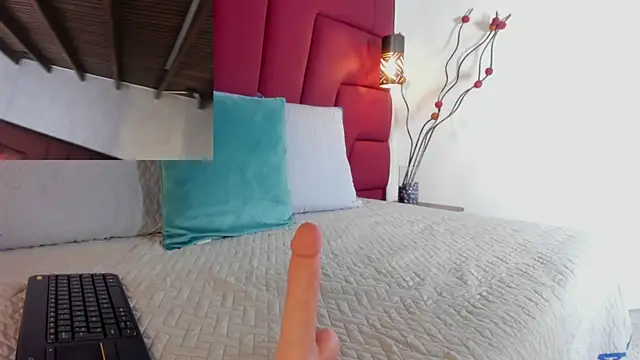 Philip_collins webcam